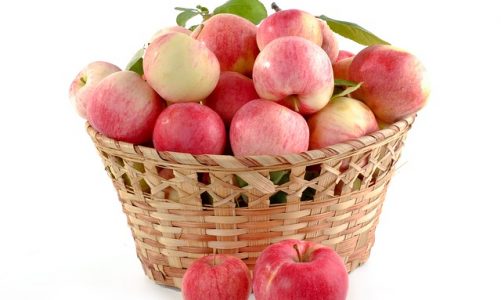 Preparaty pozwalające przechowywać jabłka przez długi czas